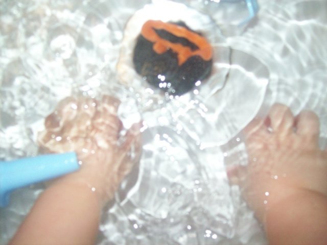 Acqua