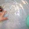 Acqua