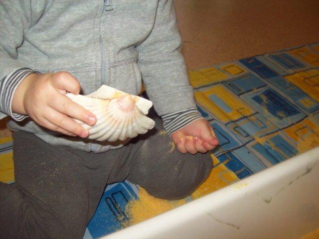 Manipolazioni