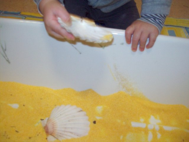 Manipolazioni