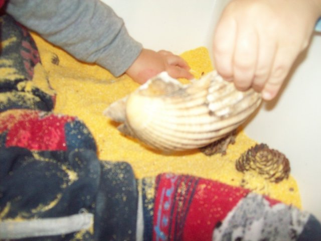 Manipolazioni