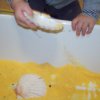 Manipolazioni