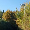 S.I. - passeggiata dei grandi