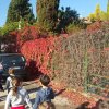 S.I. - passeggiata dei grandi